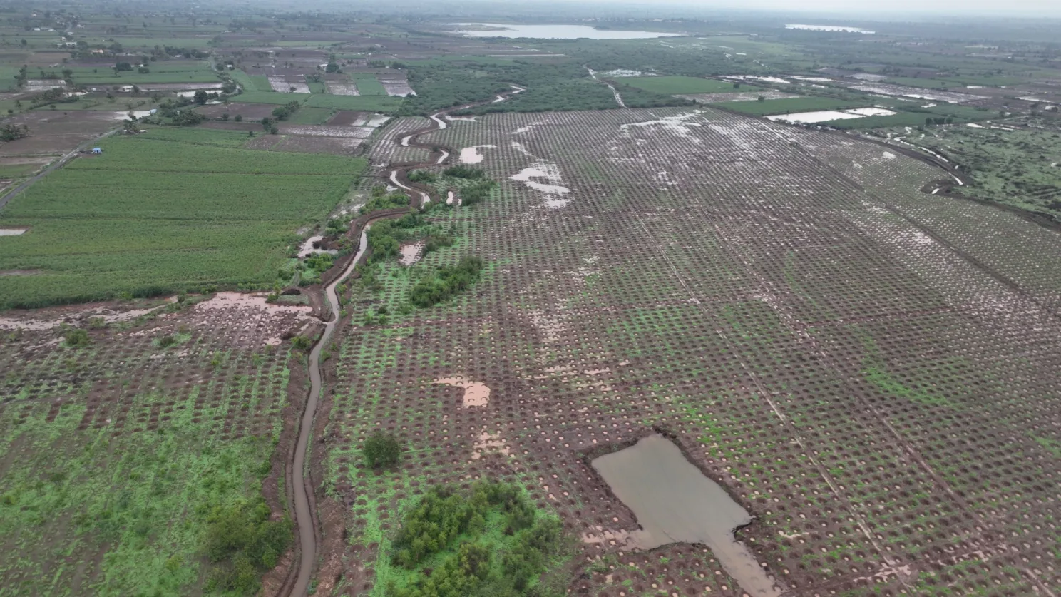 Vijayapura's green landscape after years of afforestation