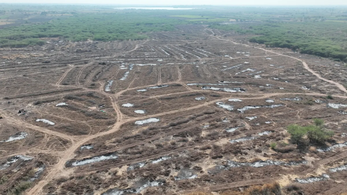 Burning uprooted Prosopis juliflora to clear the land