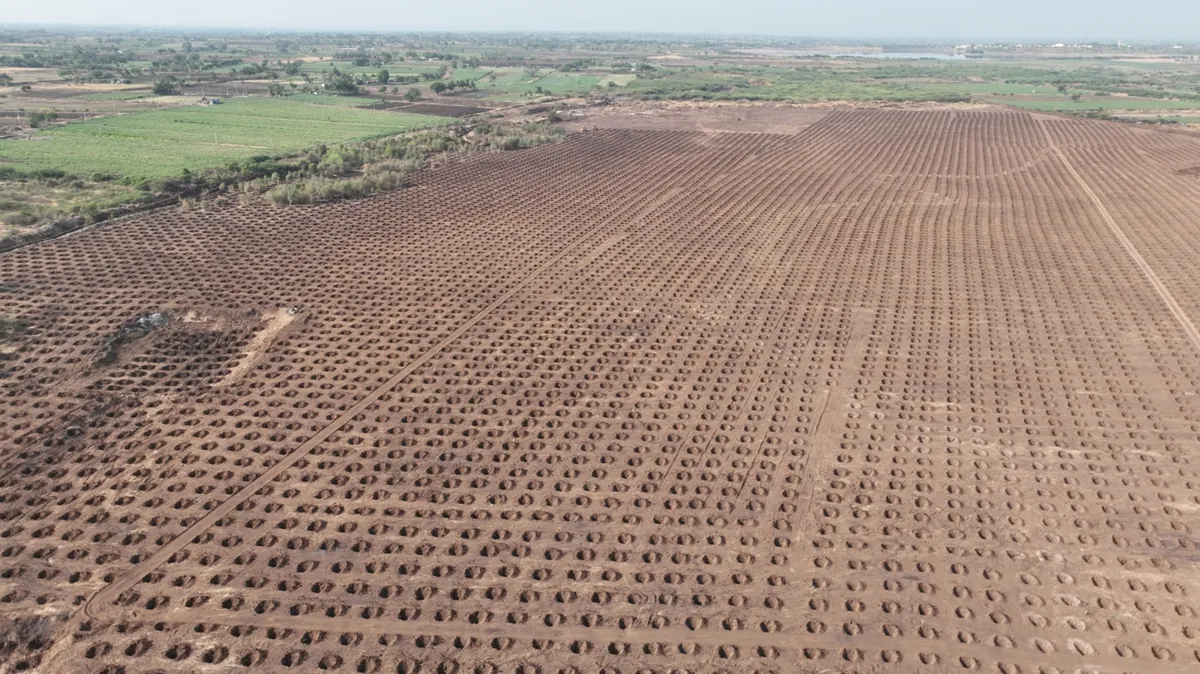 Advance pitting work across the Mamdapur plantation area