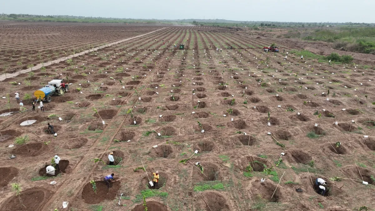 Planting work in progress with watering at Mamdapur