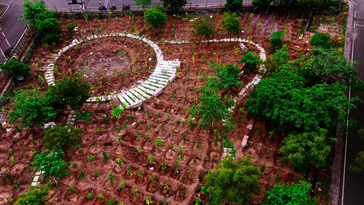 Native trees in urban Sukoon space