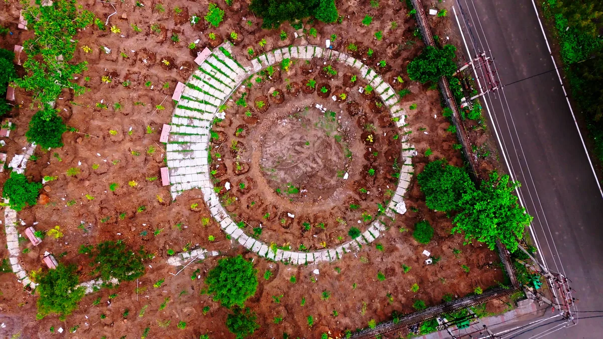 Sukoon - a city that chose trees