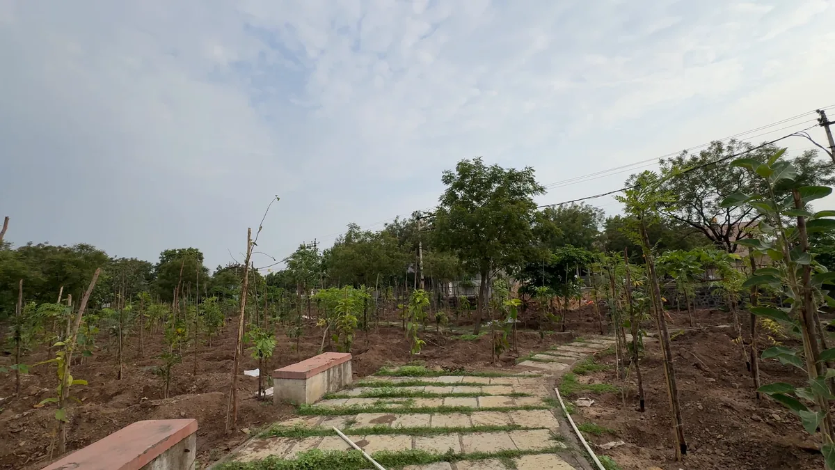 Green cover in residential layout