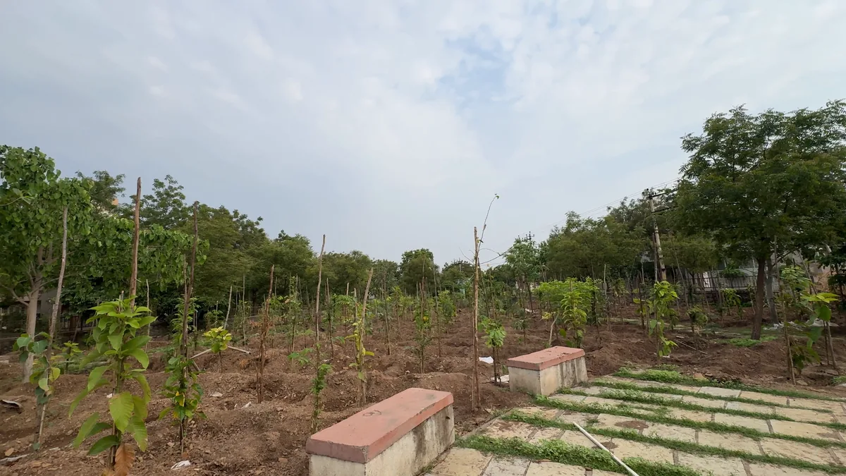 Community space plantation